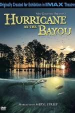 Watch Hurricane on the Bayou Viooz