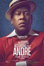 Watch The Gospel According to Andr Viooz