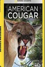 Watch National Geographic - American Cougar Viooz