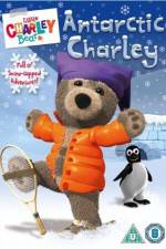 Watch Little Charley Bear - Antarctic Charley Viooz