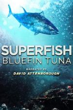 Watch Superfish Bluefin Tuna Viooz