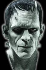 Watch Frankenstein Birth of a Monster Viooz