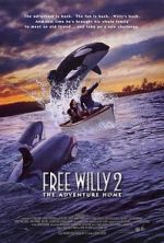 Watch Free Willy 2: The Adventure Home Viooz