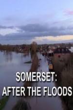 Watch Somerset: After the Floods Viooz