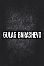 Watch Gulag Barashevo Viooz