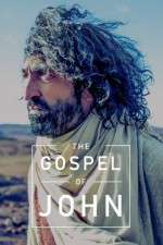 Watch The Gospel of John Viooz