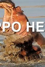 Watch Hippo Hell Viooz