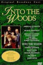 Watch Into the Woods Viooz