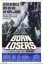 Watch The Born Losers Viooz