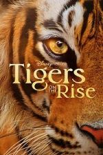 Watch Tigers on the Rise Online Viooz