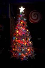 Watch O' Christmas Tree Viooz