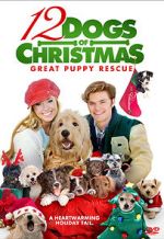 Watch 12 Dogs of Christmas: Great Puppy Rescue Viooz