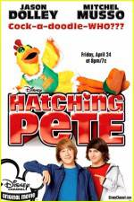 Watch Hatching Pete Viooz