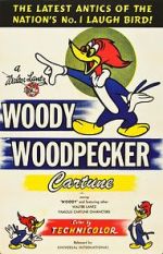Watch The Woody Woodpecker Polka Viooz