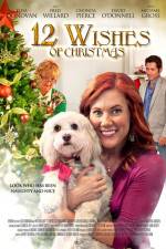 Watch 12 Wishes of Christmas Viooz