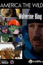 Watch National Geographic Wild America the Wild Wolverine King Viooz