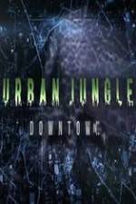 Watch National Geographic Wild Urban Jungle Downtown Viooz