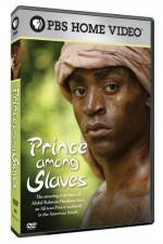 Watch Prince Among Slaves Viooz