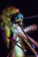 Watch Mosquito Viooz