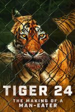 Watch Tiger 24 Viooz