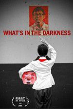 Watch What\'s in the Darkness Viooz