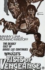 Watch Bruce\'s Fists of Vengeance Viooz