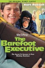 Watch The Barefoot Executive Viooz