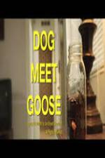 Watch Dog Meet Goose Viooz