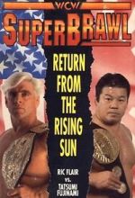 Watch WCW SuperBrawl I Viooz