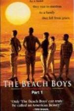 Watch The Beach Boys An American Family Viooz