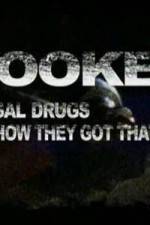 Watch Hooked: Illegal Drugs and How They Got That Way - Cocaine Viooz