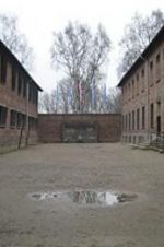 Watch Made in Auschwitz: The Untold Story of Block 10 Viooz