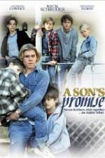 Watch A Son's Promise Viooz
