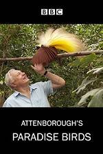 Watch Attenborough's Paradise Birds Viooz
