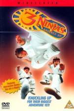 Watch 3 Ninjas Knuckle Up Viooz