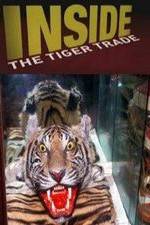 Watch Inside: The Tiger Trade Viooz