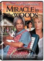 Watch Miracle in the Woods Viooz