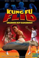 Watch Kung Fu Flid Viooz