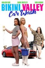 Watch Bikini Valley Car Wash Viooz