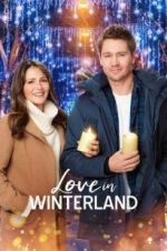Watch Love in Winterland Viooz