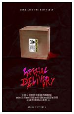 Watch Special Delivery Viooz