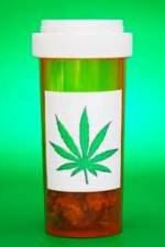 Watch Medicinal Cannabis and its Impact on Human Health Viooz