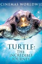 Watch Turtle The Incredible Journey Viooz