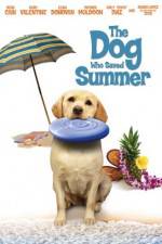 Watch The Dog Who Saved Summer Viooz