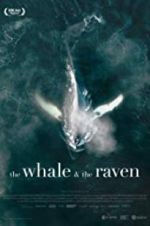 Watch The Whale and the Raven Viooz