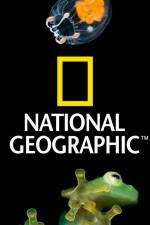 Watch National Geographic Wild Dam Beavers Viooz