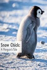 Watch Snow Chick: A Penguin's Tale Viooz