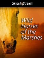 Watch Wild Horses of the Marshes Viooz