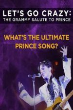 Watch Let\'s Go Crazy: The Grammy Salute to Prince Viooz