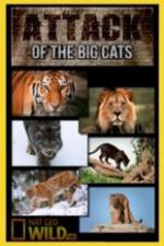 Watch National Geographic Attack Of The Big Cats Viooz
